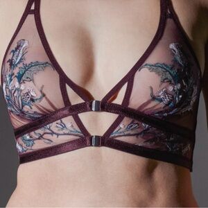 Embroidered Sheer Bralette - Thistle and Spire Cirsi
